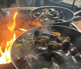 Preparatele Noastre
