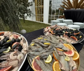 Preparatele Noastre