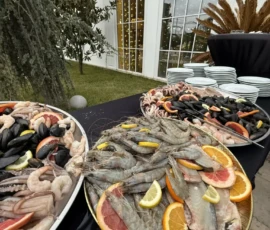 Preparatele Noastre